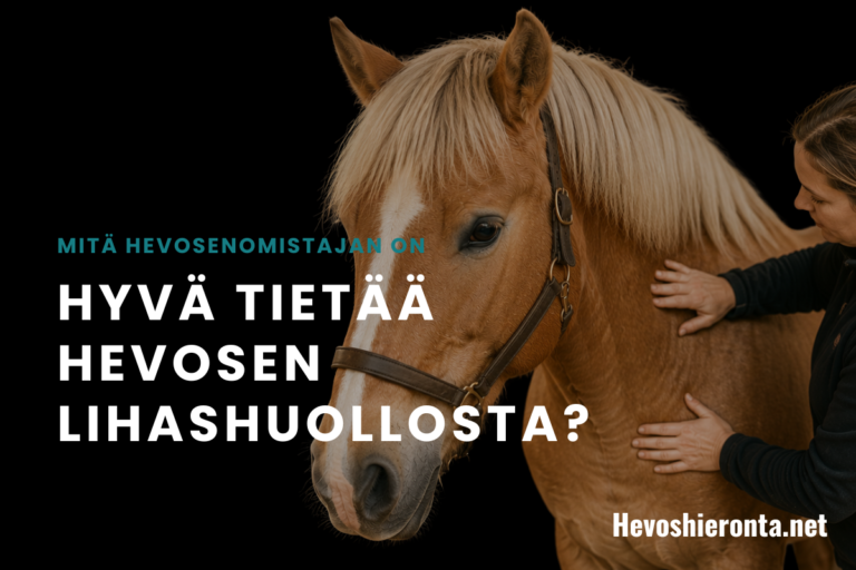 Mitä hevosenomistajan on hyvä tietää hevosen lihashuollosta?