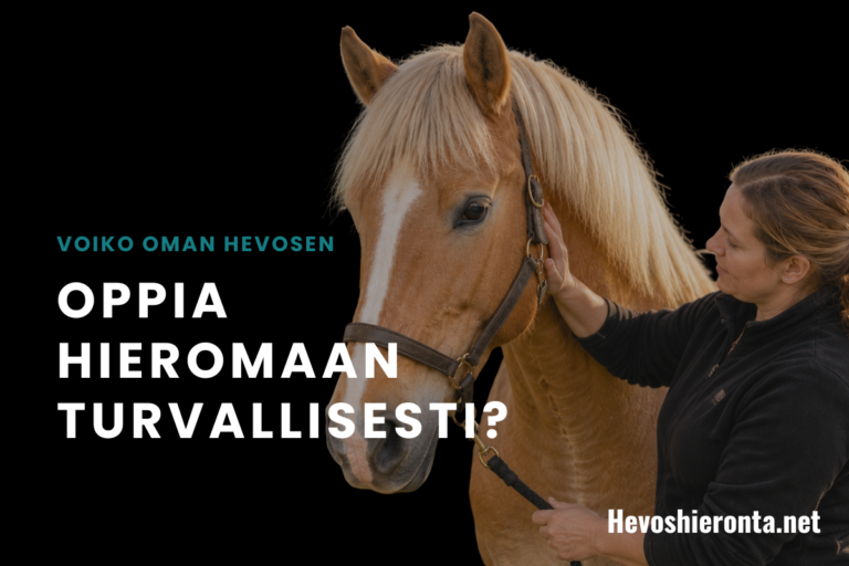 Voiko oman hevosen oppia hieromaan turvallisesti?